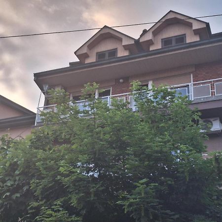 Danica I Vuk Apartment Nis Luaran gambar